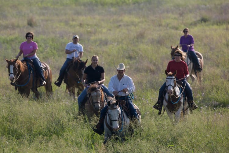 Horseback riding group